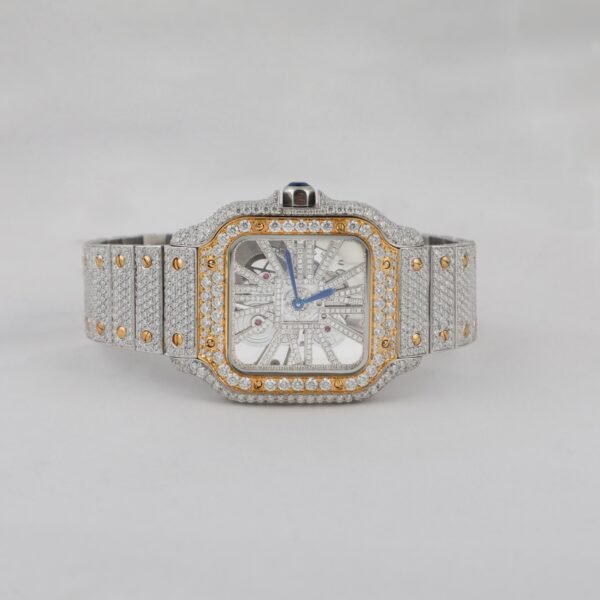 2 Tone Skeletone Version Wrist Watch