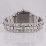 Full White Buss Down Mossanite Diamond Watch