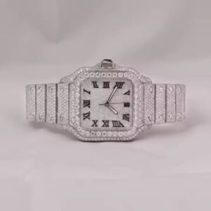 Premium Affordable Sparkling Huge Mechanical Watch