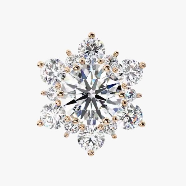 10K/14K/18K Rose Gold Round Lab Grown Diamond Leaf Design Classic Earrings for Women