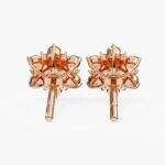10K/14K/18K Rose Gold Round Lab Grown Diamond Leaf Design Classic Earrings for Women